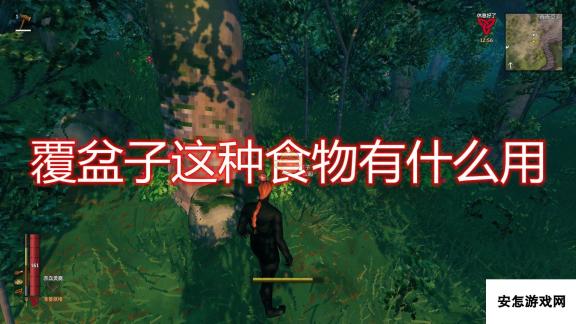 《Valheim：英灵神殿》覆盆子食物介绍