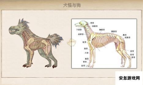 《天外世界》翡翠鸟星系犬怪生物图鉴