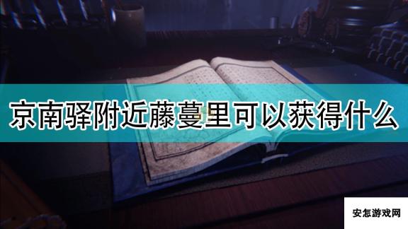 《天命奇御2》京南驿附近藤蔓可获得道具介绍